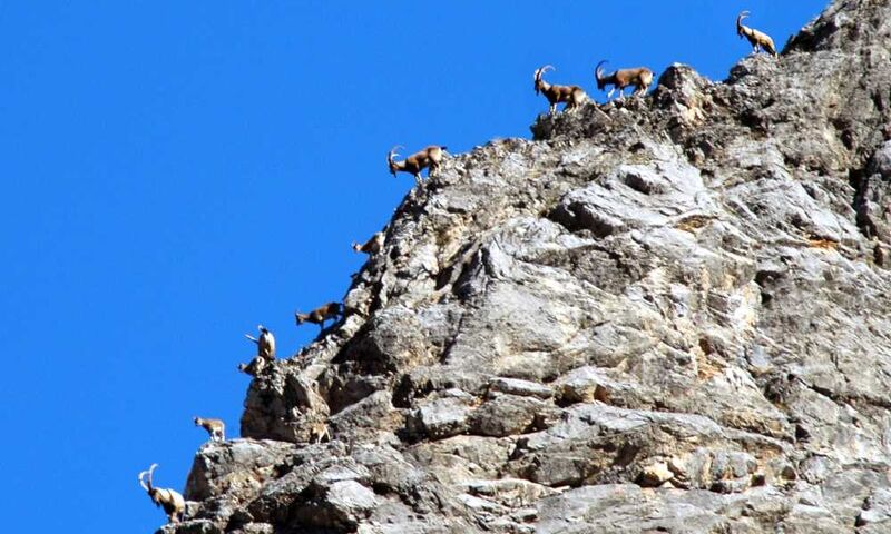 Tunceli-Munzur-Kemaliye-Elazığ-Malatya Kültür ve Doğa Turu