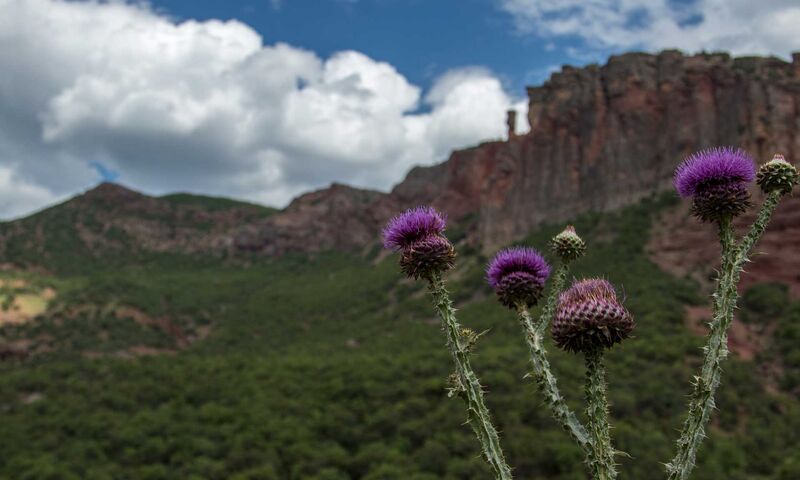 Tunceli-Munzur-Kemaliye-Elazığ-Malatya Kültür ve Doğa Turu