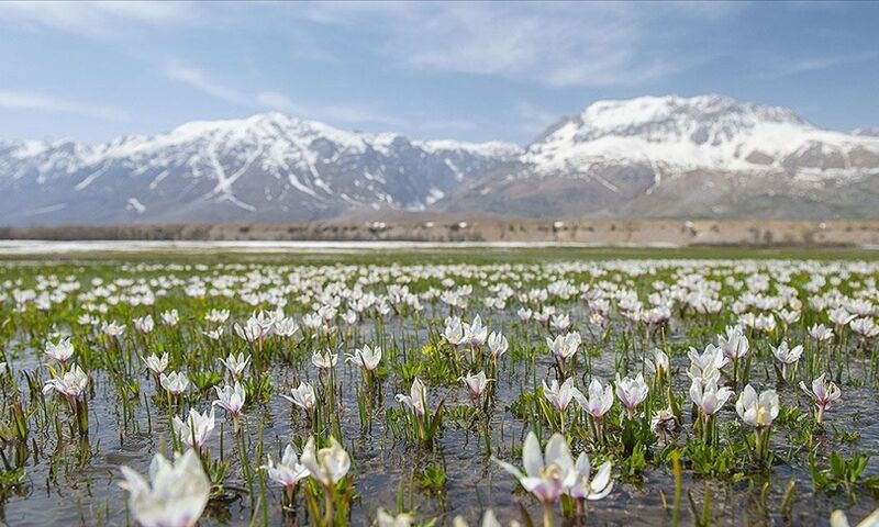 Tunceli-Munzur-Kemaliye-Elazığ-Malatya Kültür ve Doğa Turu