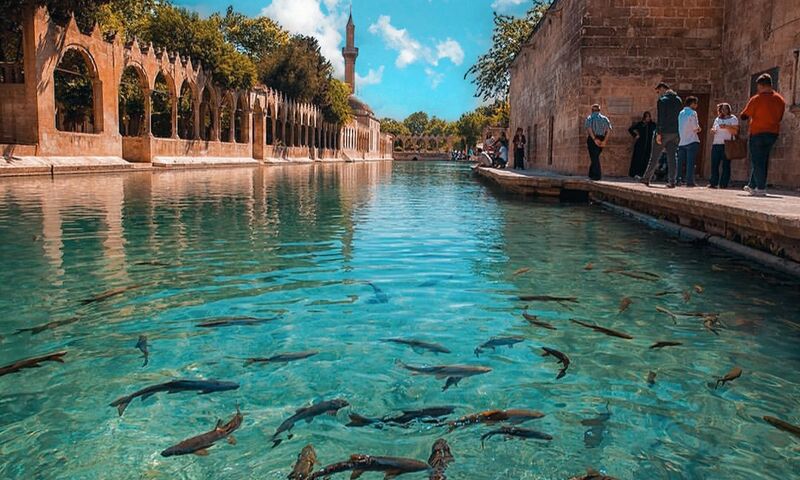 ПРИВАТНЫЙ ТУР ПО МЕСОПОТАМИИ ЮГО-ВОСТОЧНЫЙ РЕГИОН/ 3 НОЧИ - 4 ДНЯ