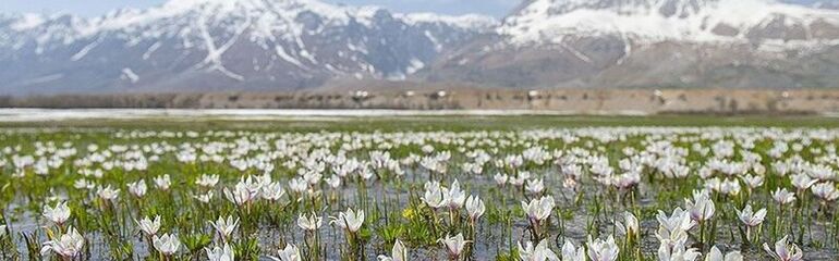 Tunceli-Munzur-Kemaliye-Elazığ-Malatya Kültür ve Doğa Turu