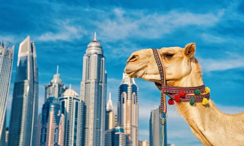 Gaziantep Çıkışlı Dubai Turu (Sömestre Dönemi) 