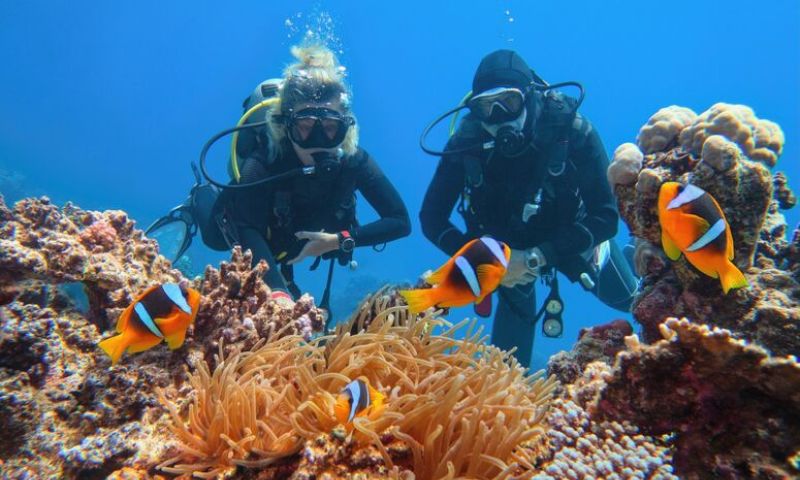 Baştanbaşa Gizemli Mısır Turu - Pegasus HY ile 7Gece - Sharm El Sheikh Çıkışlı Tur Programı