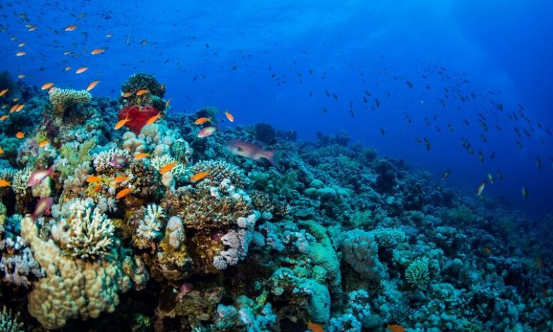 Baştanbaşa Gizemli Mısır Turu - Pegasus HY ile 7Gece - Sharm El Sheikh Çıkışlı Tur Programı